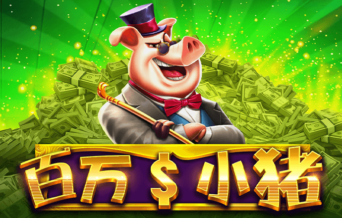 bob手机网页版登录入口
